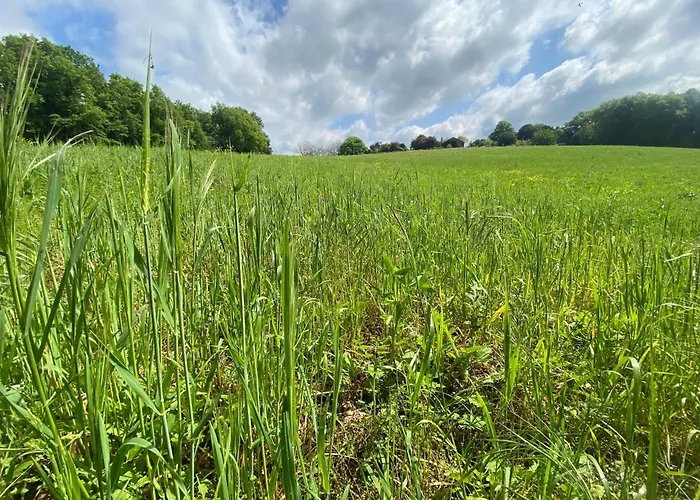 Le Bon Chemin Ateliers