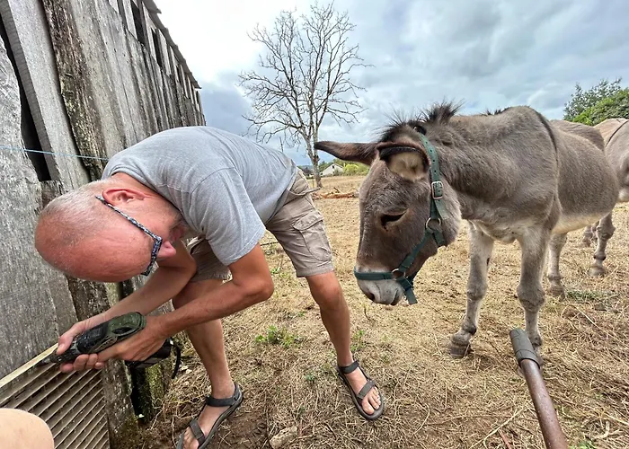 Le Bon Chemin Ateliers